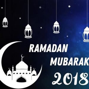 Meet your Posher, Laila